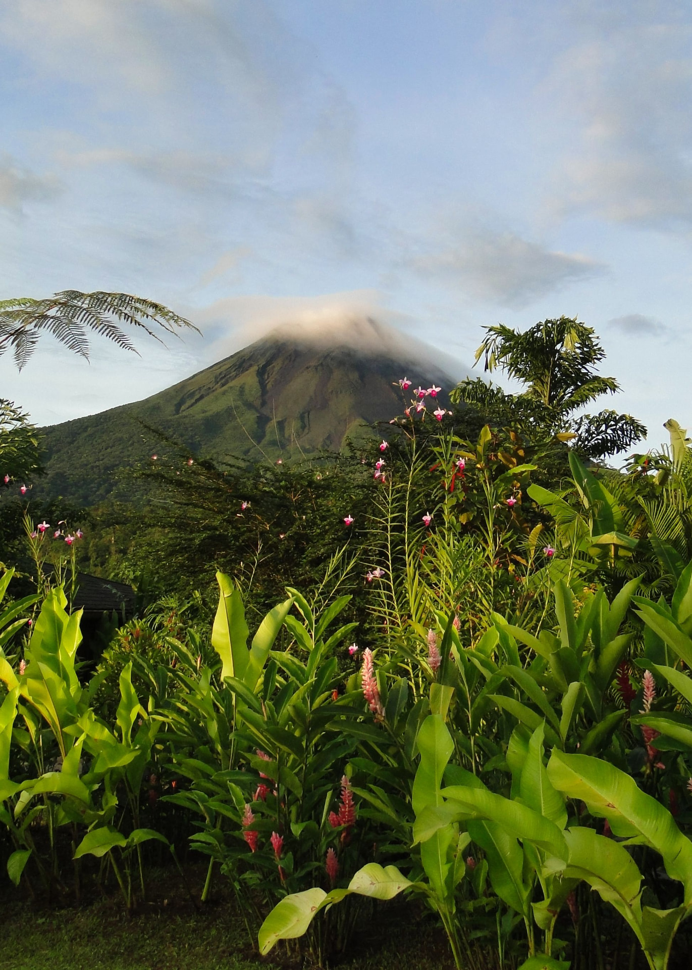 Sopka Arenal v Kostarice nad tropickou džunglí